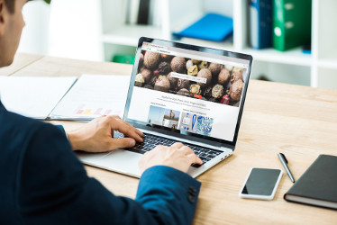 Wordpress Business Coaching