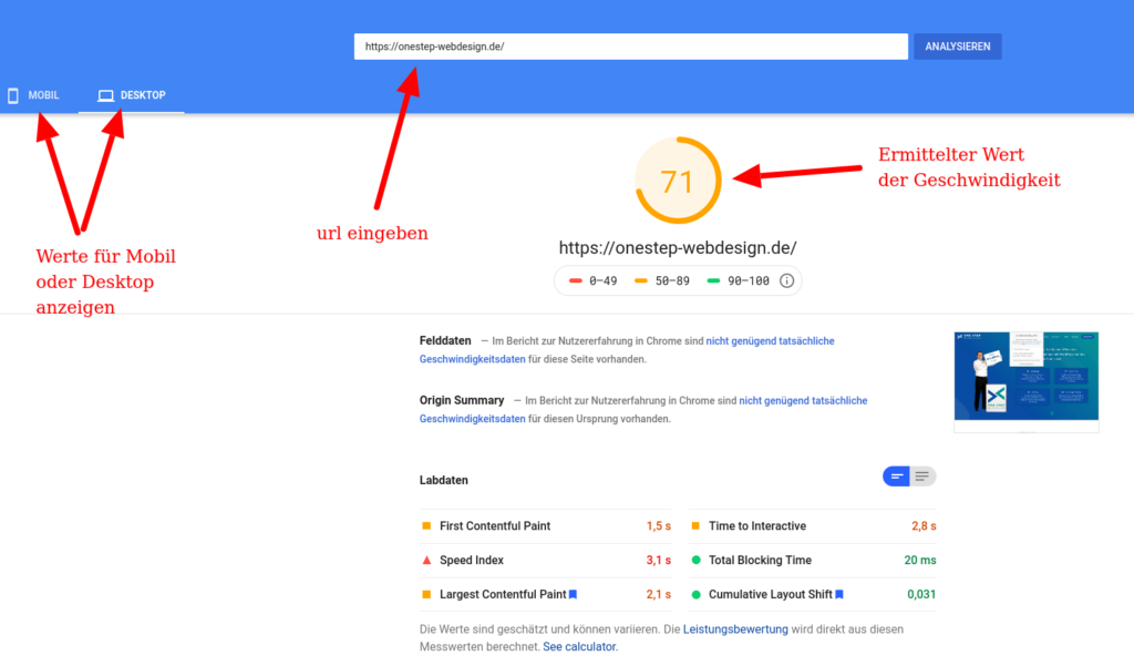 Beispiel Google Pagespeed Insight