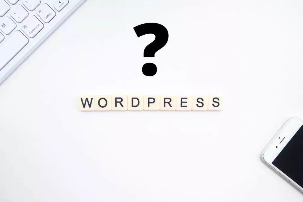 Welches WordPress Theme wurde verwendet