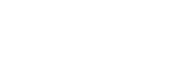 Pinkvoss Logo
