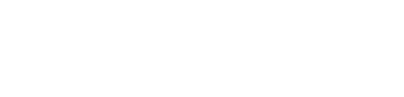 Wagner Dachfensterwechsel Logo