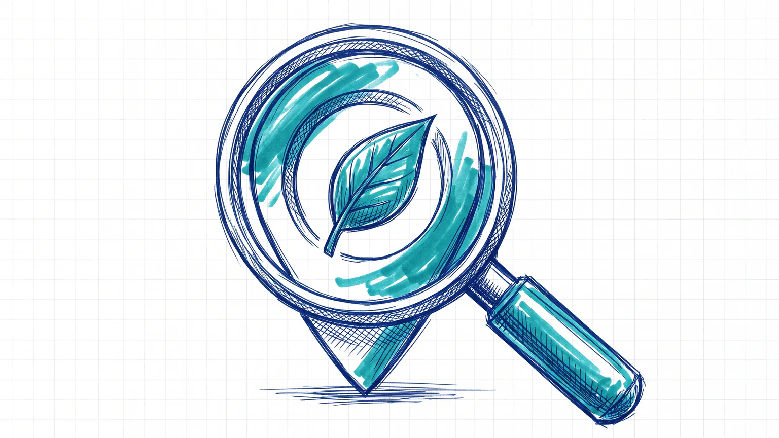 Illustration zum Thema Wie Heilpraktiker online gefunden werden: Lupe über Standort-Pin mit Heilpflanzenblatt